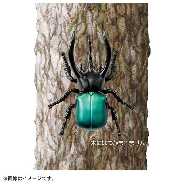  Ania AS-39 Three Horned Beetle - Bọ Ba Sừng 