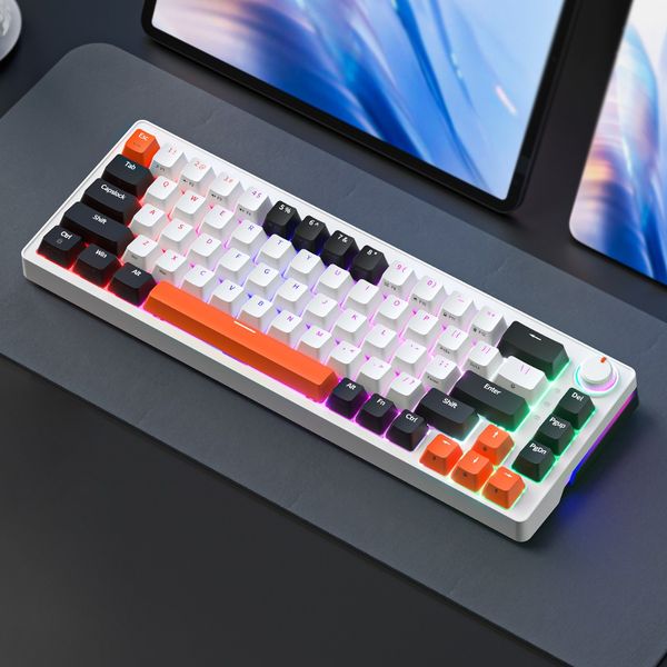 Bàn phím cơ Zifriend ZA68 Pro White Night Crown Hot Swap – nShop - Game ...