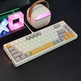  Bàn phím cơ Zifriend ZA68 Pro RGB Hotswap Vàng Xám 