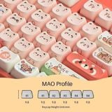  Bộ Keycap bàn phím cơ AKKO Raccoon MAO 