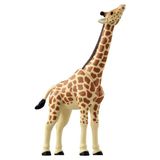  Ania AL-30 Giraffe - Hươu Cao Cổ 