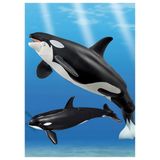  Ania AL-08 Killer Whale Floating Ver - Cá Voi Sát Thủ 