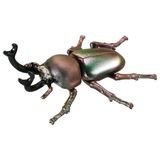  Ania AS-42 Rainbow Stag Beetle - Bọ Cánh Cứng Cầu Vồng 
