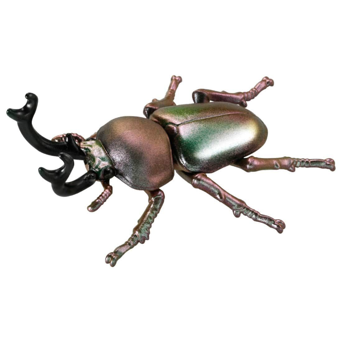  Ania AS-42 Rainbow Stag Beetle - Bọ Cánh Cứng Cầu Vồng 