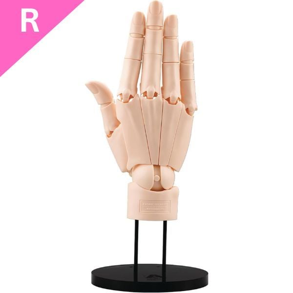 Mô hình bàn tay Artist Support Item Hand Model R Pale Orange AT021 chính hãng Kotobukiya mô phỏng chân thực và sống động