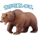  Ania AS-25 Brown Bear - Gấu Nâu 