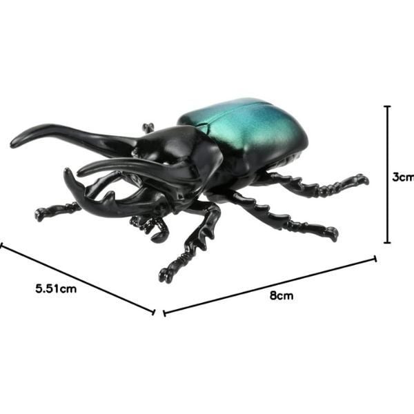  Ania AS-39 Three Horned Beetle - Bọ Ba Sừng 