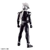  Kamen Rider Skull - Figure-rise Standard 