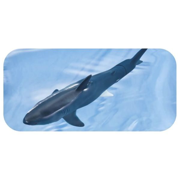  Ania AL-11 Megalodon Floating Ver - Cá Mập Khổng Lồ 