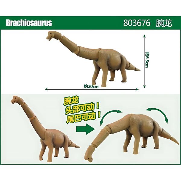  Ania AL-04 Brachiosaurus - Uyển Long 
