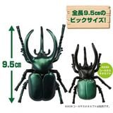  ANIA AL-18 Atlas Beetle - Kiến Vương 