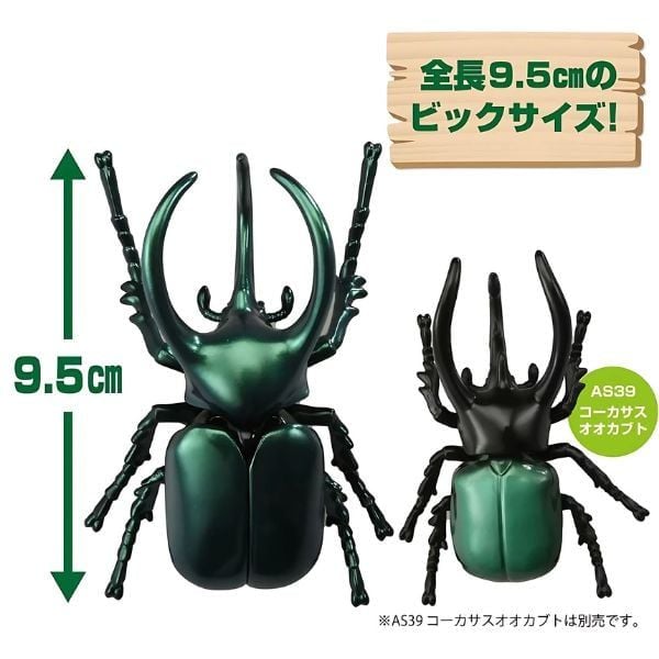  ANIA AL-18 Atlas Beetle - Kiến Vương 