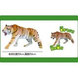  Ania AS-30 Tiger Wild Ver - Hổ 