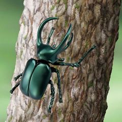 ANIA AL-18 Atlas Beetle - Kiến Vương