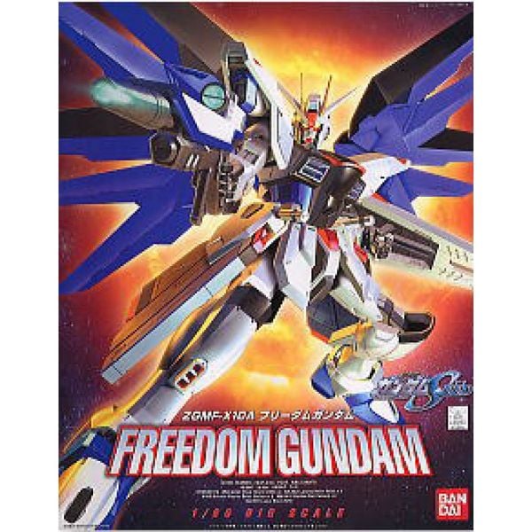 FREEDOM GUNDAM (1/60)