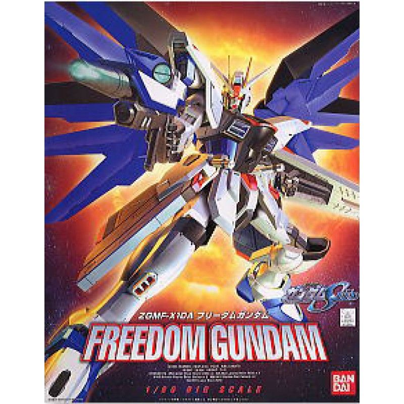  FREEDOM GUNDAM (1/60) 