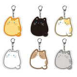  Móc khóa mica Mèo Mập Cute 