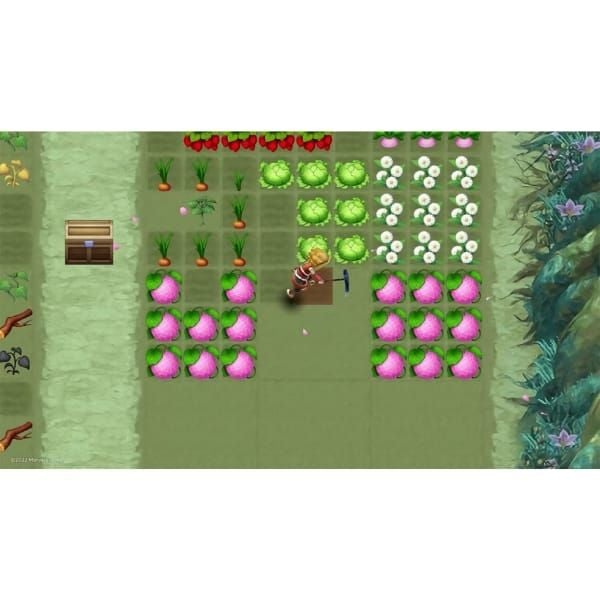 Rune Factory 3 Special cho Nintendo Switch