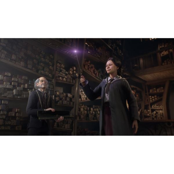  043 Hogwarts Legacy cho PS5 