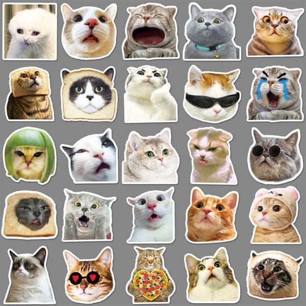  Hình dán sticker meme mèo cực đáng yêu 