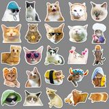  Hình dán sticker meme mèo cực đáng yêu 