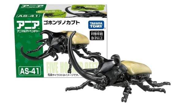 ANIA AS-41 Five Horned Beetle - Bọ Năm Sừng 