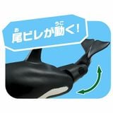  Ania AL-08 Killer Whale Floating Ver - Cá Voi Sát Thủ 