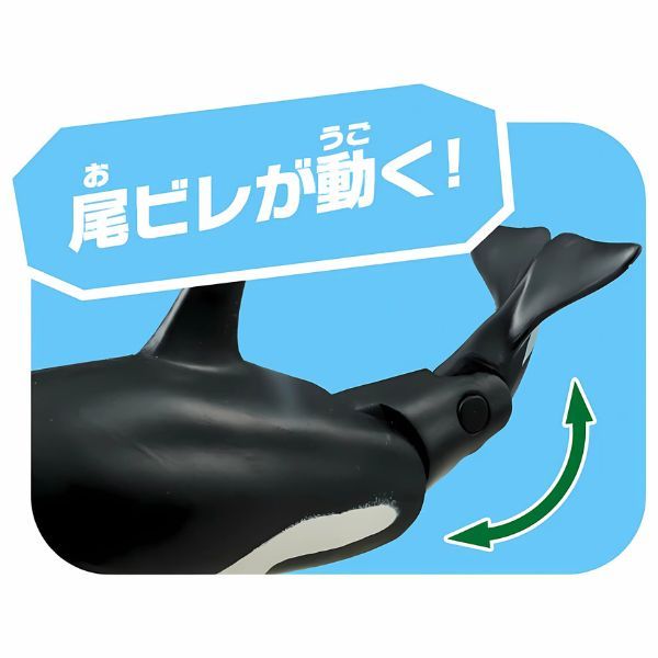  Ania AL-08 Killer Whale Floating Ver - Cá Voi Sát Thủ 