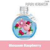  Kirby Pupupu Herbarium - Mô hình chính hãng Rement 