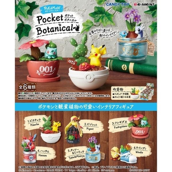  Pokemon Pocket Botanical 