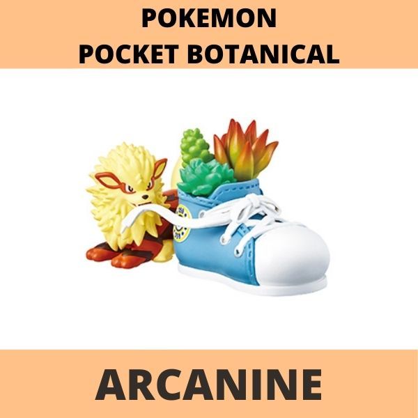  Pokemon Pocket Botanical 