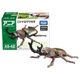 Ania AS-42 Rainbow Stag Beetle - Bọ Cánh Cứng Cầu Vồng 