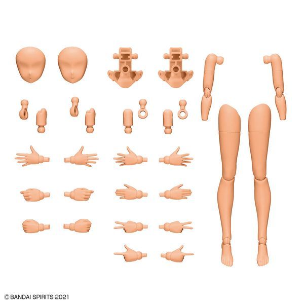  Option Body Parts Arm Parts & Leg Parts Color C - 30MS 