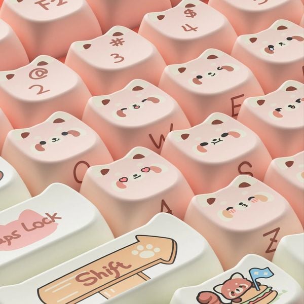  Bộ Keycap bàn phím cơ AKKO Raccoon MAO 