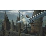  Hogwarts Legacy cho Nintendo Switch 2 