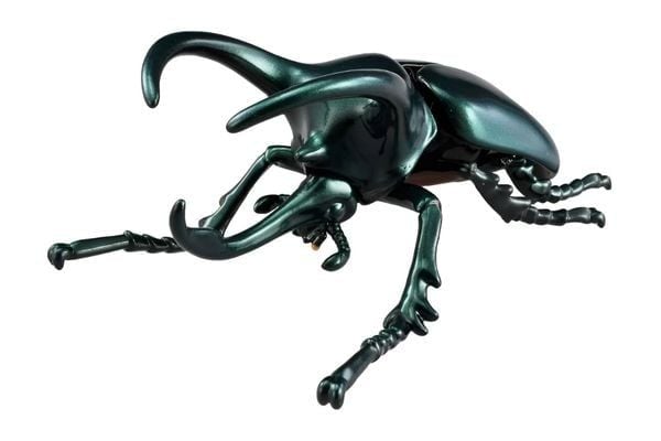  ANIA AL-18 Atlas Beetle - Kiến Vương 