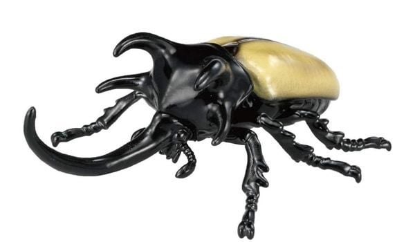  ANIA AS-41 Five Horned Beetle - Bọ Năm Sừng 