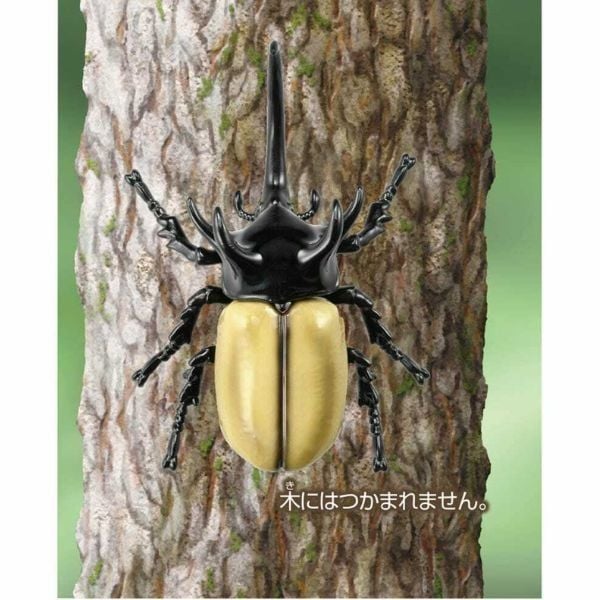  ANIA AS-41 Five Horned Beetle - Bọ Năm Sừng 