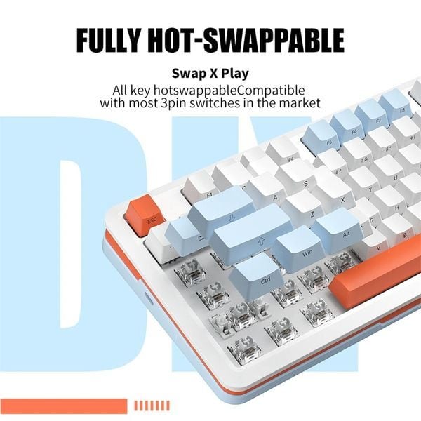  Bàn phím cơ Zifriend S82 Hotswap Trắng Xanh Biển 
