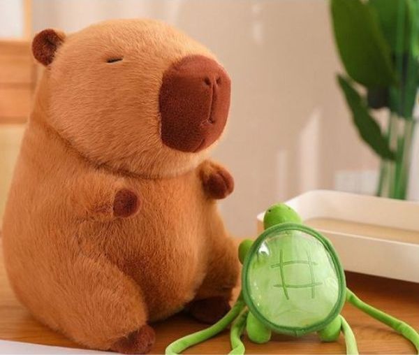  Thú bông chuột lang nước Capybara cõng rùa 