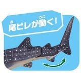  Ania AL-05 Whale Shark Floating Ver - Cá Nhám Voi 
