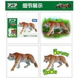 Ania AS-30 Tiger Wild Ver - Hổ 