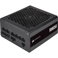 Nguồn máy tính CORSAIR RM650 2021 - 80 Plus Gold (CP-9020233-NA)