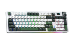 Bàn phím cơ không dây AULA S98 Pro (Xanh lá + trắng, 3 mode, 98 Phím, Greywood V4 switch)