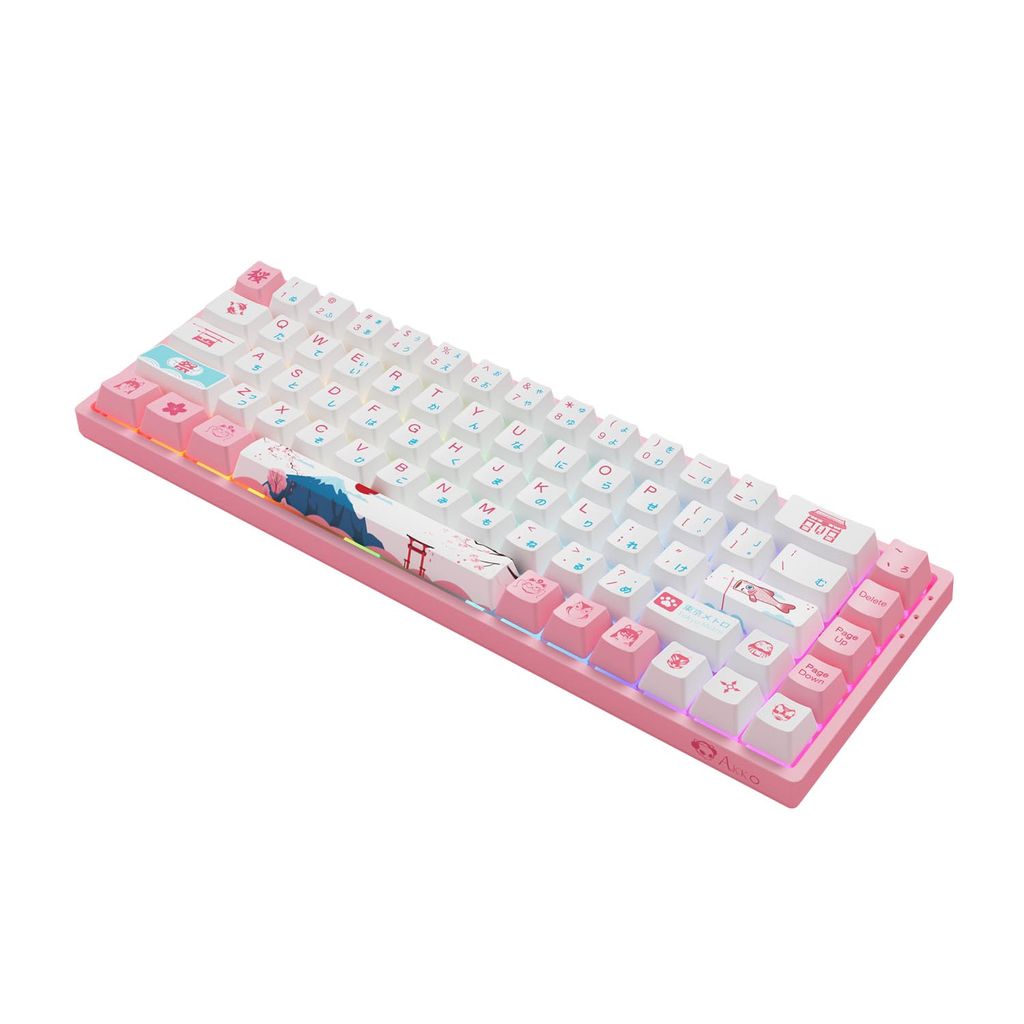 Bàn phím cơ AKKO 3068 v2 World Tour Tokyo R2 RGB (Gateron switch)