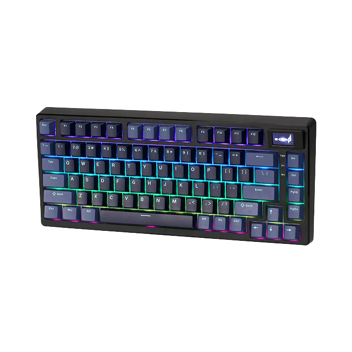 Bàn phím Gaming Wireless E-DRA EK375 PRO Alpha