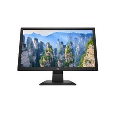 Màn hình HP V20 (1H849AA) 19.5 inch TN