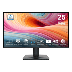 Màn hình MSI PRO MP251 E2 24.5 inch FHD IPS 120Hz 1ms (HDMI, Display Port, D-Sub)