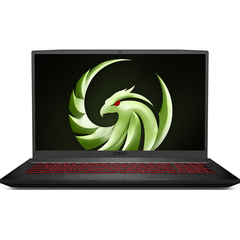 Laptop MSI Bravo 17 A4DDR-200VN (R5-4600H | 16GB | 512GB | VGA RX 5500M 4GB | 17.3'' FHD 144Hz | Win 10)