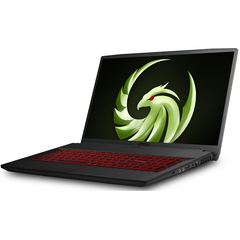 Laptop MSI Bravo 17 A4DDR-200VN (R5-4600H | 16GB | 512GB | VGA RX 5500M 4GB | 17.3'' FHD 144Hz | Win 10)